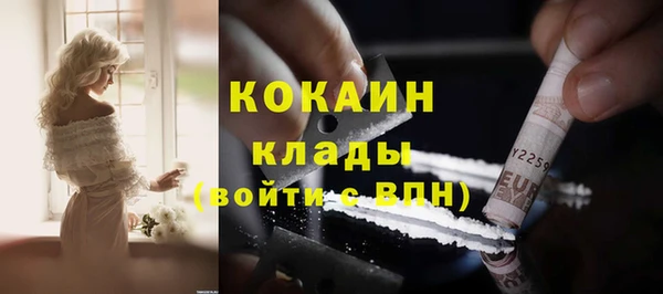 гидра Арсеньев