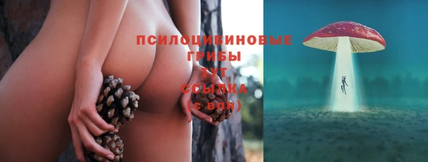 гашик Балабаново