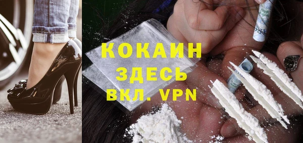 гидра Арсеньев