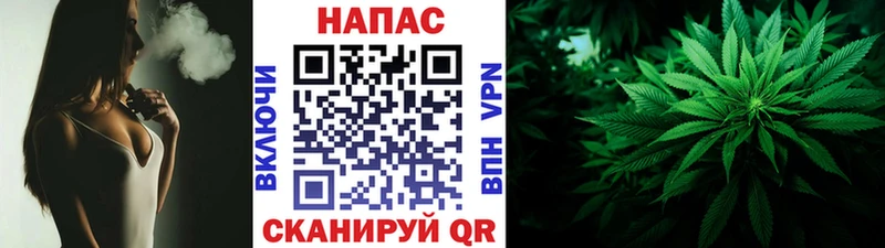 MEGA как зайти  shop состав  Конопля Amnesia  закладка  Пугачёв 